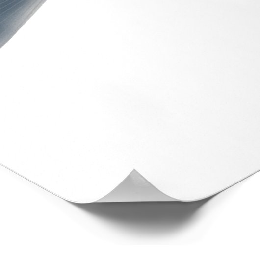 Canara Barb Poster (Ecke)