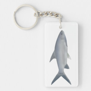 Canara Barb Schlüsselanhänger