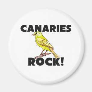 Canaries-Felsen Magnet