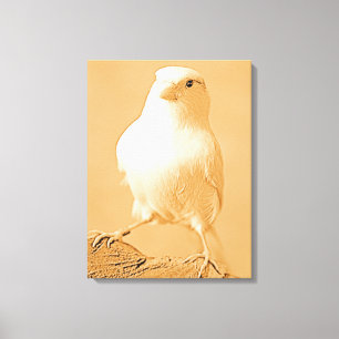 Canary Bird-Leinwand Leinwanddruck