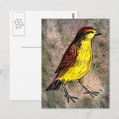 Canary Bird Postkarte (Vorne/Hinten)