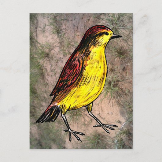 Canary Bird Postkarte (Vorderseite)