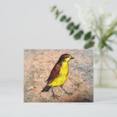 Canary Bird Postkarte (Stehend Vorderseite)
