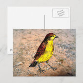 Canary Bird Postkarte (Vorne/Hinten)