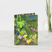 Canary & RedStar Note Card Karte (Vorderseite)