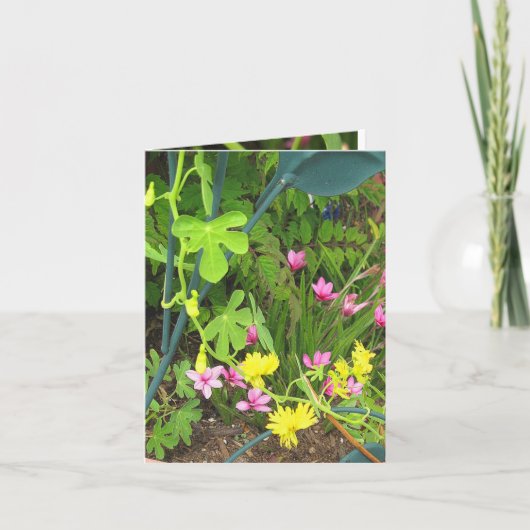 Canary & RedStar Note Card Karte (Vorderseite)