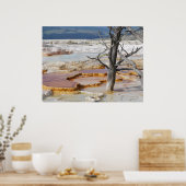 Canary Springs Yellowstone Nationalpark Poster (Küche)