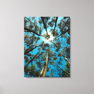 Canava Leinwanddruck