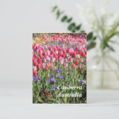 Canberra Australia Postcard Postkarte (Stehend Vorderseite)