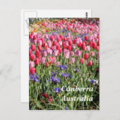 Canberra Australia Postcard Postkarte (Vorne/Hinten)