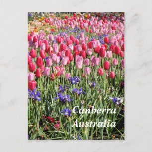 Canberra Australia Postcard Postkarte