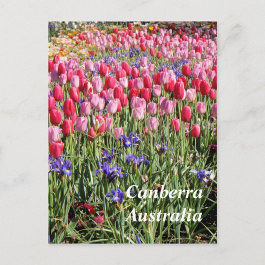 Canberra Australia Postcard Postkarte (Vorderseite)