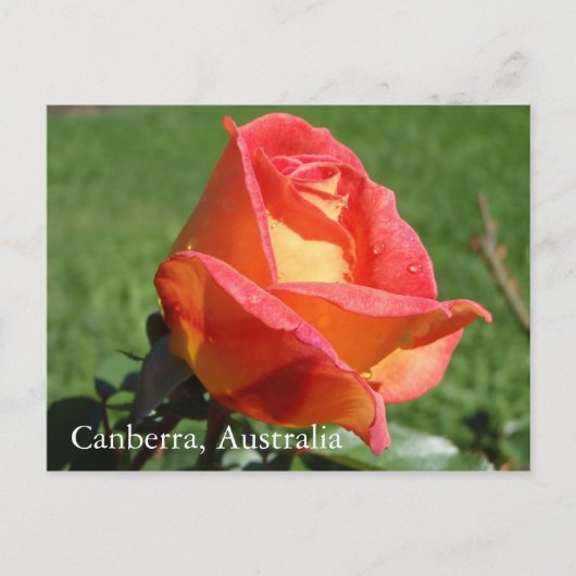 Canberra, Australien Postkarte (Vorderseite)
