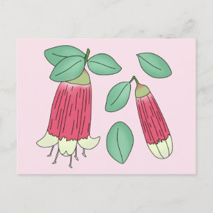 Canberra Glocken Postkarte