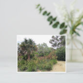 Canberra Postkarte (Stehend Vorderseite)