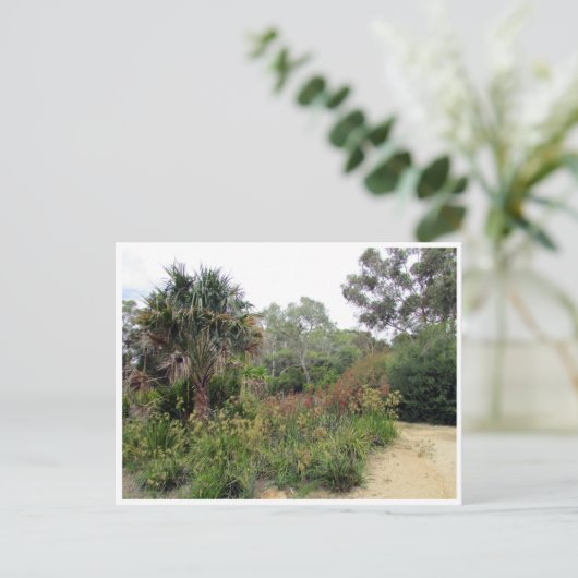 Canberra Postkarte (Stehend Vorderseite)