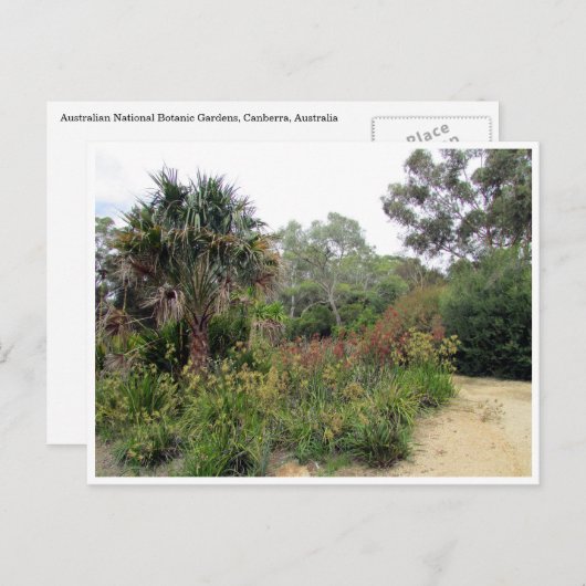 Canberra Postkarte (Vorne/Hinten)