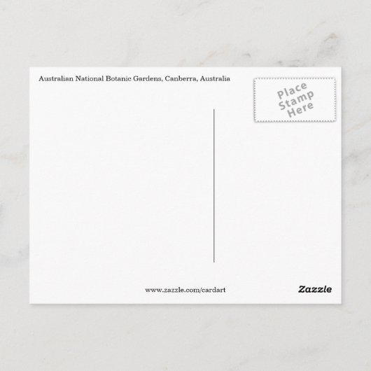 Canberra Postkarte (Rückseite)