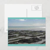 Cancale Oyster Park Frankreich Postkarte (Vorne/Hinten)