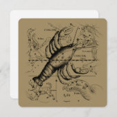 Cancer Constellation Hevelius 1690 June 21-July 22 (Vorne/Hinten)