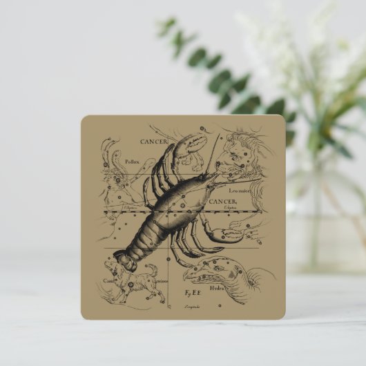 Cancer Constellation Hevelius 1690 June 21-July 22 (Stehend Vorderseite)