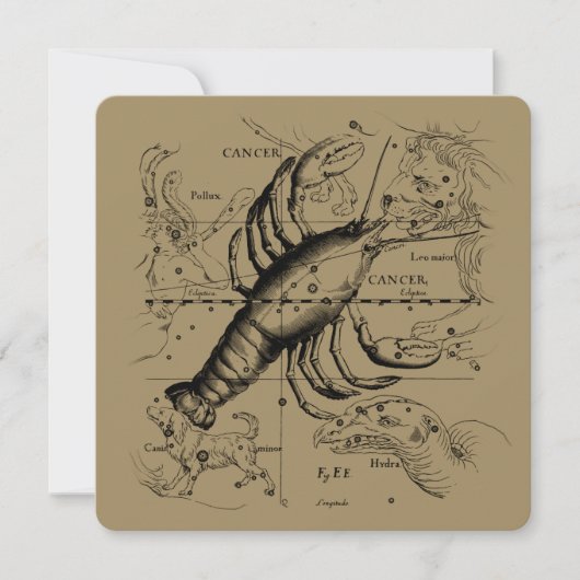 Cancer Constellation Hevelius 1690 June 21-July 22 (Vorderseite)