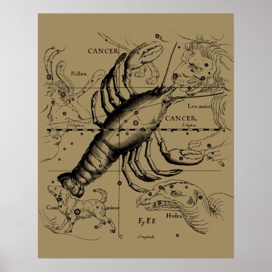 Cancer Zodiac Constellation by Hevelius 1690 Poster (Vorne)