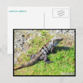 CANCUN #16 POSTCARD POSTKARTE (Vorne/Hinten)