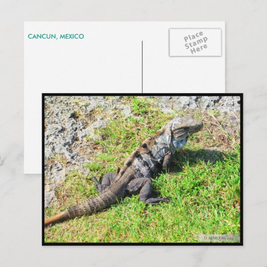 CANCUN #16 POSTCARD POSTKARTE (Vorne/Hinten)