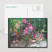 CANCUN #17 POSTCARD POSTKARTE (Vorne/Hinten)