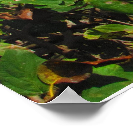 CANCUN #6 POSTER (Ecke)