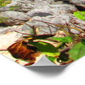 CANCUN #8 POSTER (Ecke)