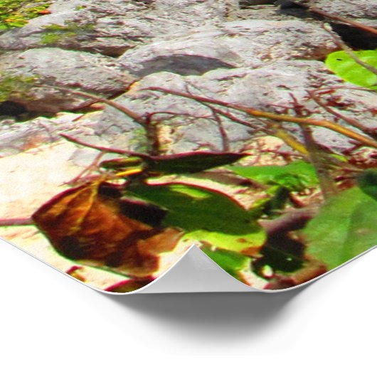 CANCUN #8 POSTER (Ecke)