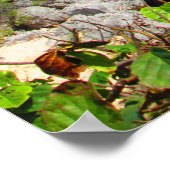 CANCUN #8 POSTER (Ecke)