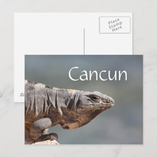 Cancun Mexico Iguana Postkarte (Vorne/Hinten)