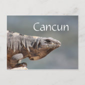 Cancun Mexico Iguana Postkarte (Vorderseite)
