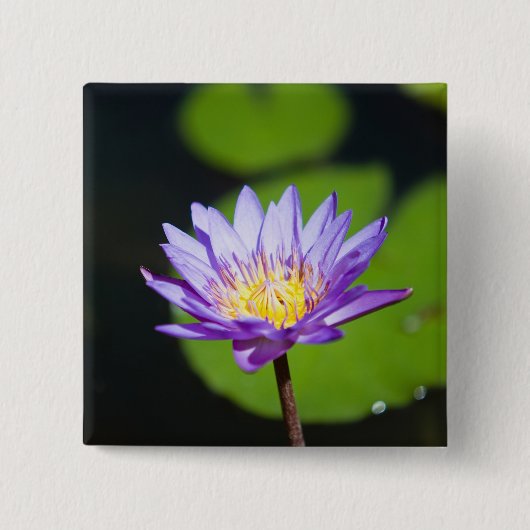 Cancun, Mexiko Button (Vorderseite)