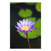 Cancun, Mexiko Fotodruck (Vorne)