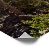 Cancun Mexiko Poster (Ecke)