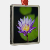 Cancun, Mexiko Silbernes Ornament (Rechts)