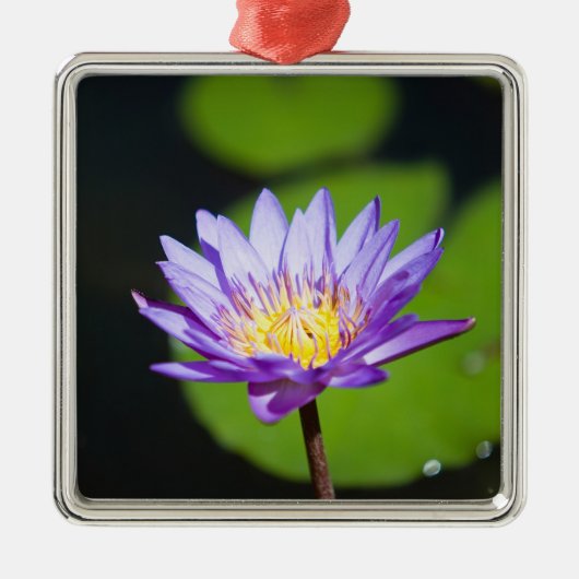 Cancun, Mexiko Silbernes Ornament (Vorne)