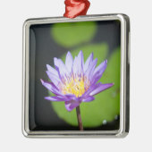 Cancun, Mexiko Silbernes Ornament (Links)