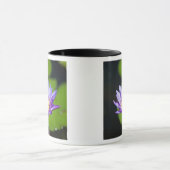 Cancun, Mexiko Tasse (Zentrum)