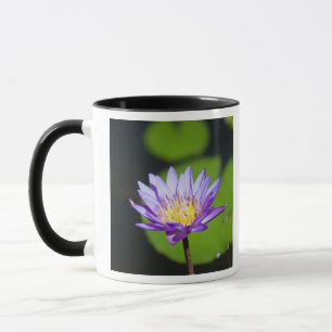Cancun, Mexiko Tasse