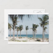Cancun Palms Postkarte (Vorne/Hinten)