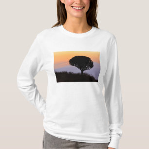 Candelabra-Baum, silhouettiert bei Sonnenaufgang, T-Shirt