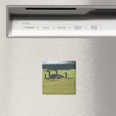 Candian Geese Magnet (In Situ (Geschirrspüler))