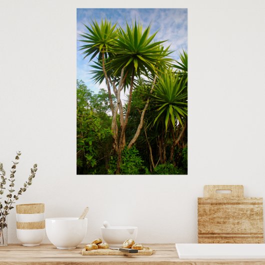 Candle Tree (Dracaena Concina), Ile Aux Poster (Küche)