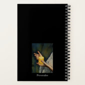 Candlelight Aristoteles Wisdom Zitat Black Journal Notizblock (Rückseite)