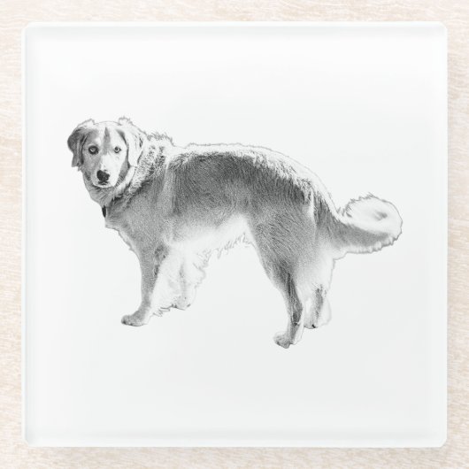 Candlelit Herbstblicken Glasuntersetzer (Vorderseite)